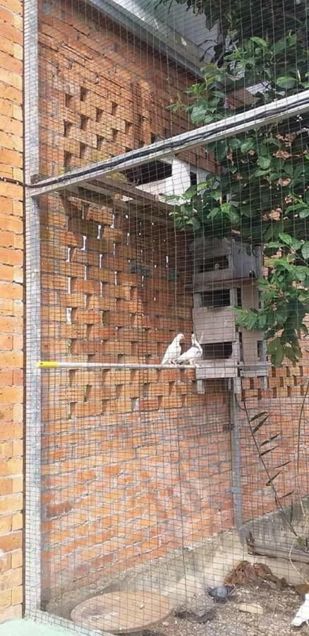 Seri Kenangan Kota Samarahan Exterior foto